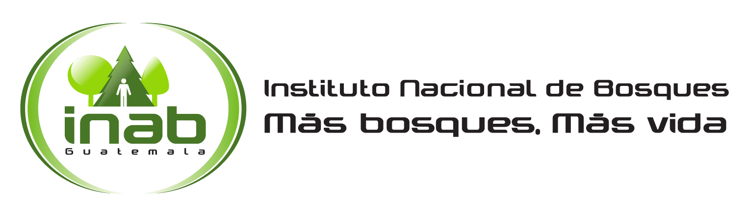 Inicio