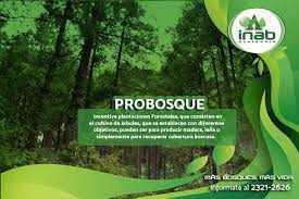 PROGRAMA DE INCENTIVOS FORESTALES -PROBOSQUE-