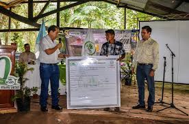 COORDINACIÓN DEL PROGRAMA DE INCENTIVOS FORESTALES -PINPEP-