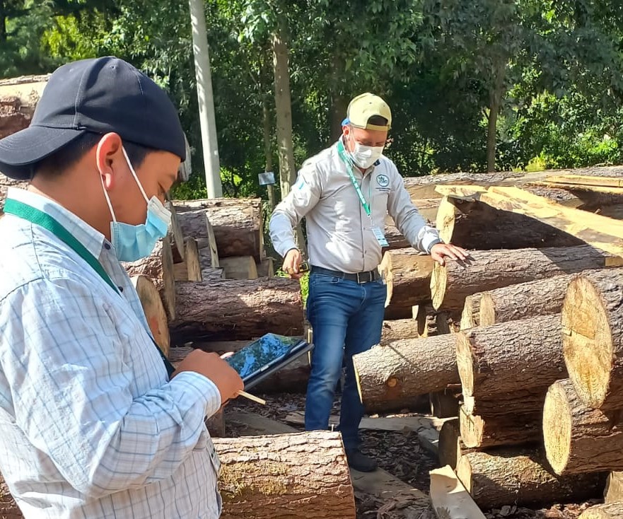 MONITOREO DE EMPRESAS FORESTALES