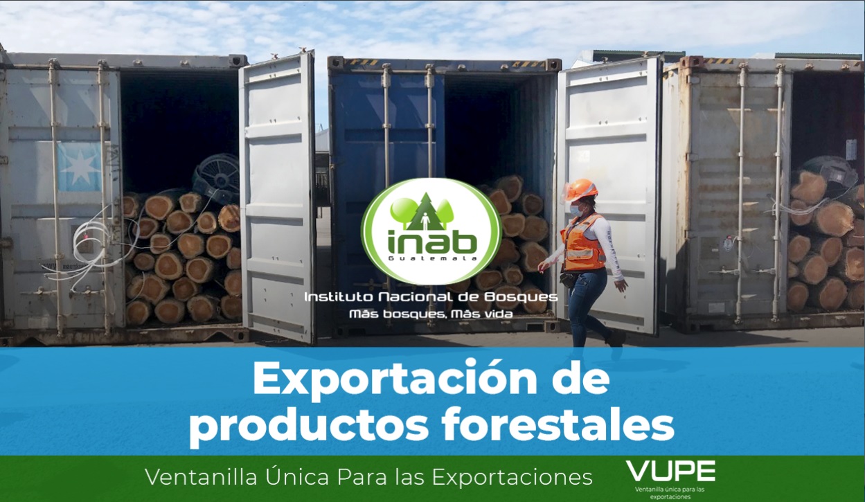 Exportación de Productos Forestales