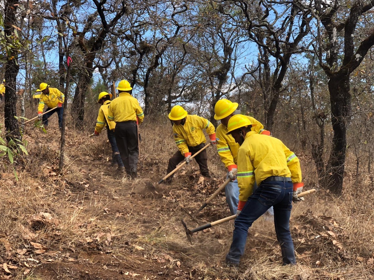 Prevención de incendios forestales