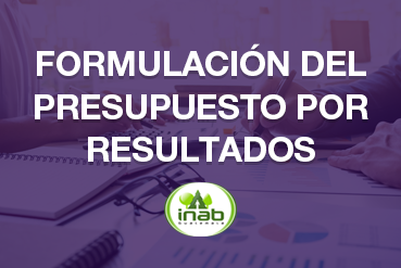 Formulación del presupuesto por resultados
