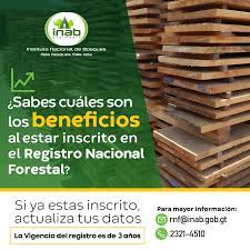 Inscripciones de Oficio en RNF